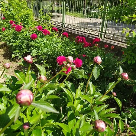 Tatil Evi Eperkert Vendeghaz *