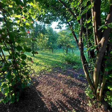 Eperkert Vendeghaz *