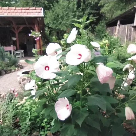 Eperkert Vendeghaz Tatil Evi *