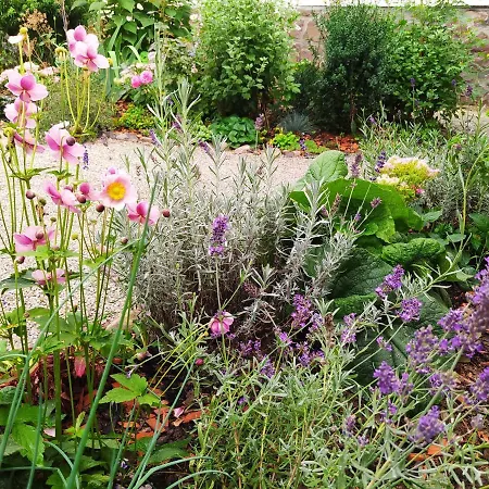 Eperkert Vendeghaz Tatil Evi *