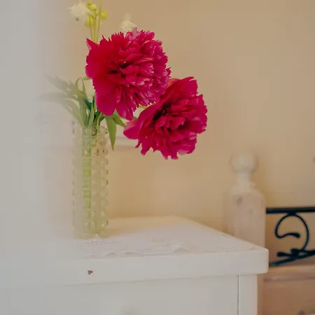 Tatil Evi Eperkert Vendeghaz *